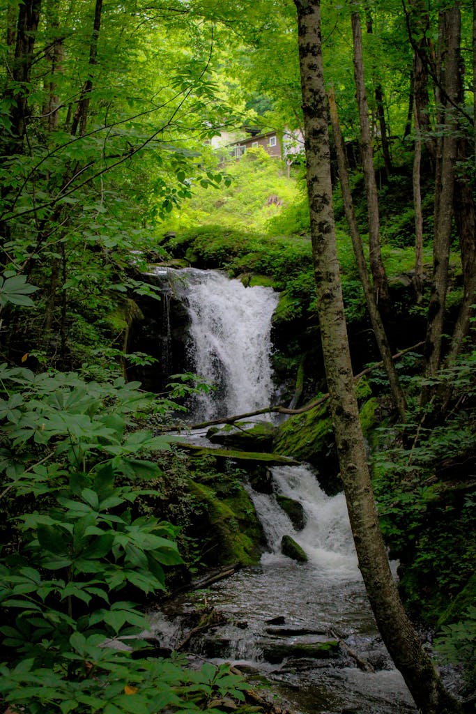 Discover a tranquil waterfall nestled in a verdant forest, offering a hidden escape in nature.