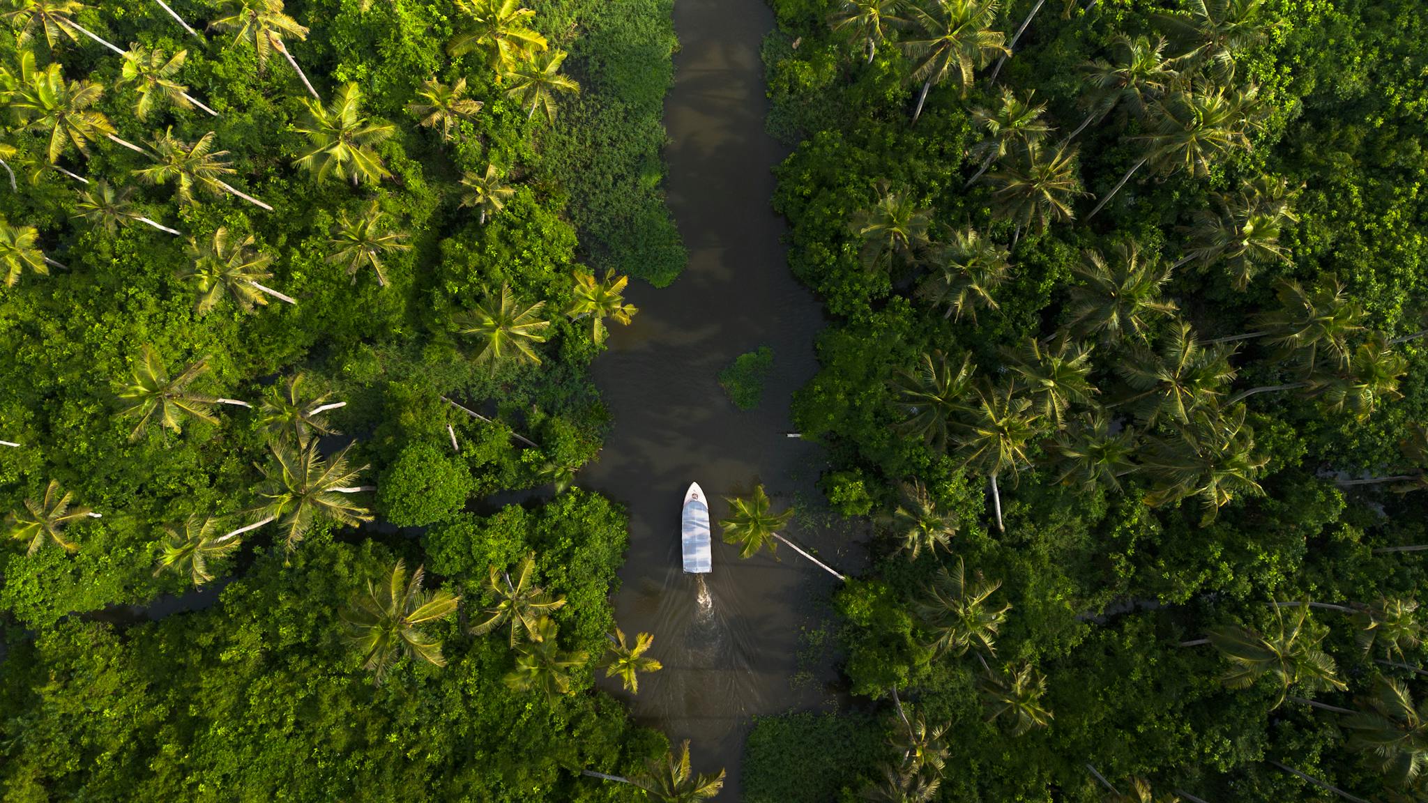 Discover the lush greenery and tranquil waters of the Alappuzha backwaters in Kerala, India.