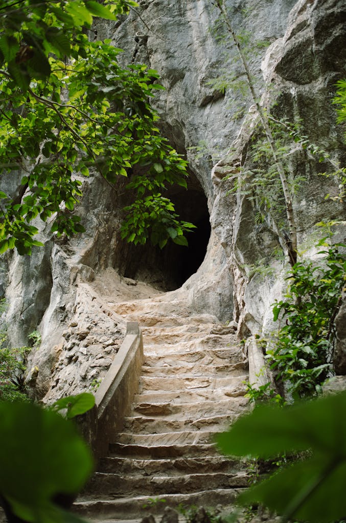 Discover the natural beauty of Da Nang with this stunning cave entrance surrounded by lush foliage.