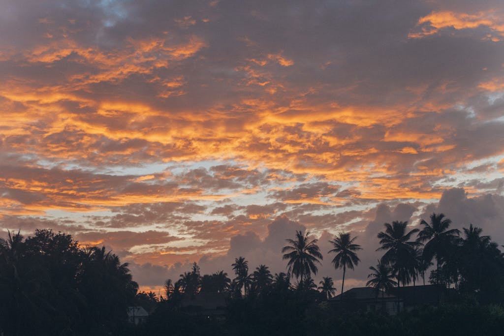 Serene sunset with palm tree silhouettes in Ko Samui, Thailand's tropical landscape.