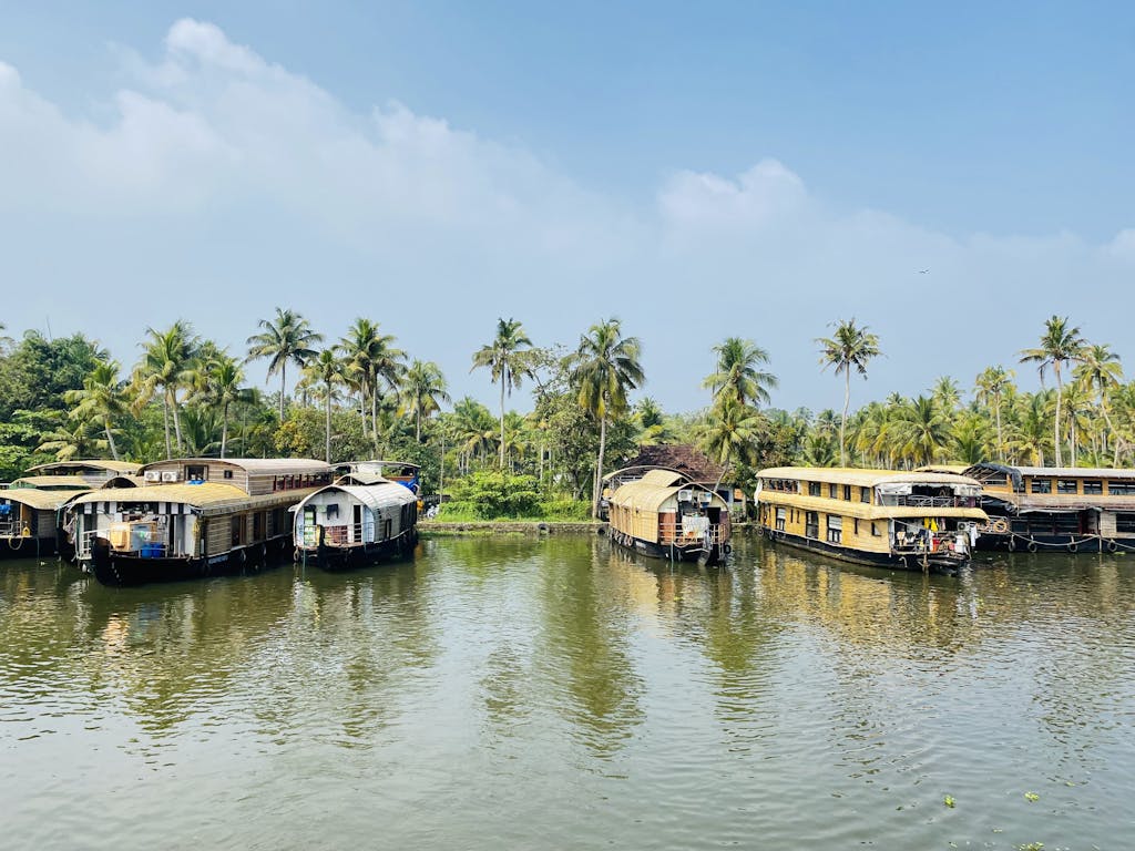 Serene view of houseboats on Kerala's lush backwaters under a bright sky.