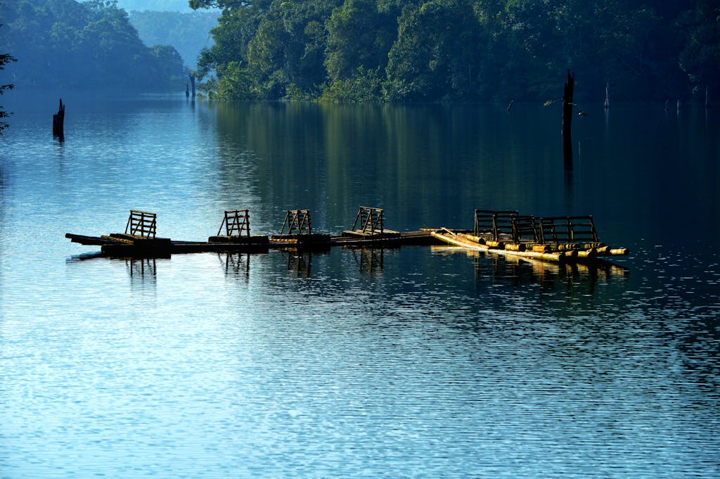 Tranquil scene of wooden rafts reflecting on serene waters surrounded by lush greenery in Periyar, India.