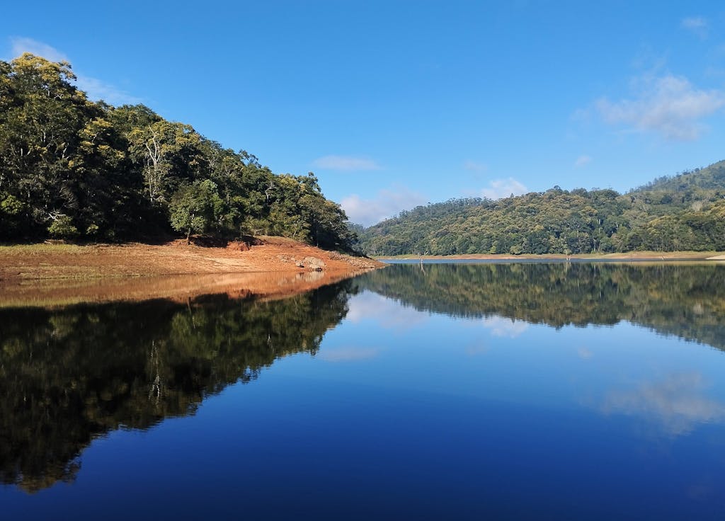 Tranquil view of Periyar Lake with lush forest reflections in Kerala, India.