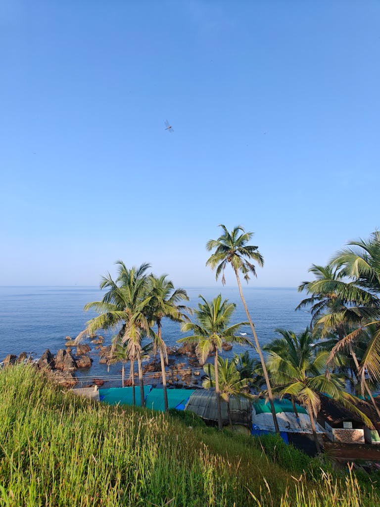 Breathtaking coastal landscape with palm trees at sunset in Goa, India.