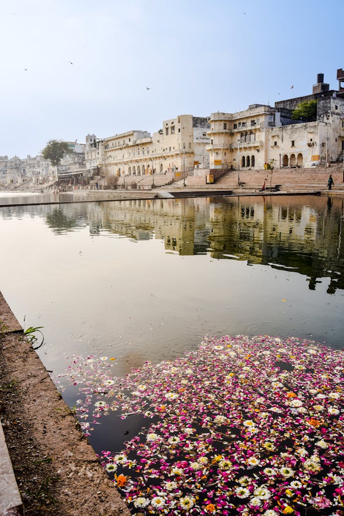 Serene reflection of buildings in Pushkar Lake with floating flowers.
