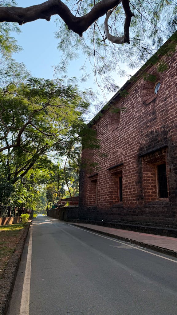 Serene street view beside a historic church in Goa, India, with lush green trees lining the path.