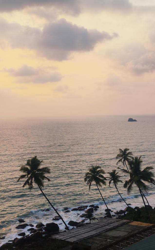 Tranquil sunset view over the ocean with silhouetted palm trees swaying gently.